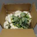 12 Bundles Peonies Artificial White Flowers Bouquet, Lifelike Silk Fake Peonies with Stems for Home Table Centerpieces, Wedding, Party & DIY Bridal Floral Arrangements (White)