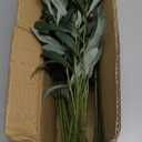 SHACOS 8 PCS Fake Olive Tree Branches Faux Olive Branches for Vase 28 inch Long Stems Artificial Greenery Stems Bulk Green Leaves Plant Twigs Decor