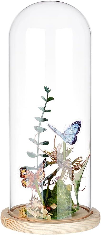 BENECREAT 4.6x12inch Eternal Transparent Flower Glass Cover, Glass Display Dome Cloche Jar with Blanched Almond Solid Wood Base for DIY Flower Craft