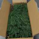 24 Pcs Artificial Norfolk Pine Branches, Faux Norfolk Pine Stems DIY Crafts Faux Christmas Norfolk Pine Branches for Xmas Indoor Outdoor Home Decor (24)