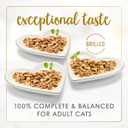 Purina Fancy Feast Delights with Cheddar Grilled Chicken, Turkey or Whitefish and Cheddar Cheese Feast in Gravy Wet Cat Food Variety Pack - (Pack of 24) 3 oz. Cans (EXP 04/30/28)