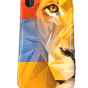 iPhone X/XS Multicolored Geometric Abstract Art Lioness Case