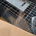 HAVAHART 1079SR Large 1-Door Humane Catch and Release Live Animal Trap Cage - Live Raccoon Trap, for Bobcats, Beavers, Dogs, & More