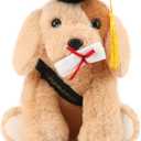 Chalyna 10 Inch 2025 Graduation Gift Dog Stuffed Animal Plush Golden Retriever with Diploma Tassel Graduation Hat Embroidered Blessings Preschool Kindergarten Gift for Friends, Relatives, and Kids