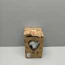 H&W Kitten Money Bank (Pink), Shatterproof Cat Piggy Bank, First Coin Bank, Best Christmas Birthday for Kids Boys Girls Home Decoration (WK19-D3)