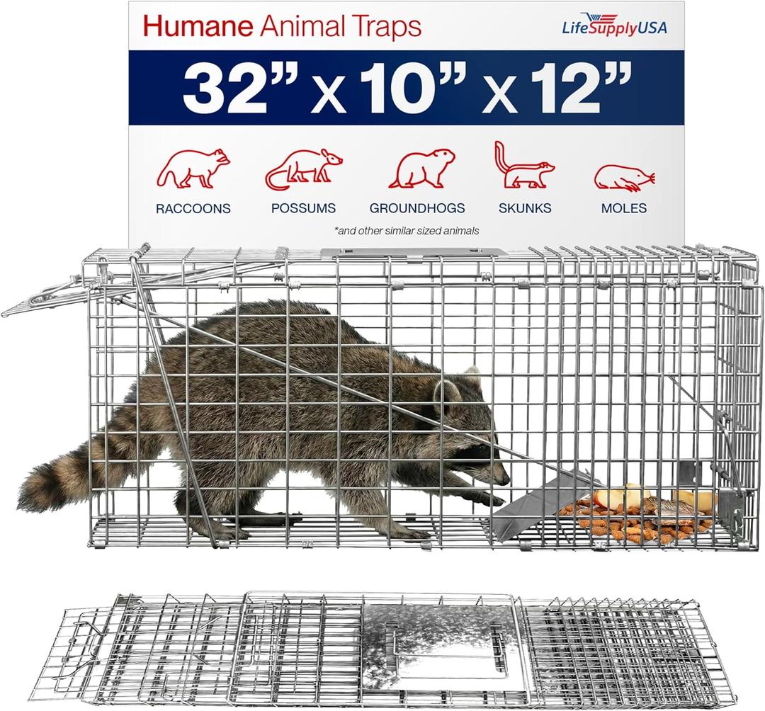 32" Humane Live Animal Trap Collapsible Heavy Duty Cage for Raccoon, Possum, Cat Trap for Stray Cats, Armadillo, Groundhog, Skunk, Squirrel & Rabbit Professional Catch & Release by LifeSupplyUSA (32 x 10 x 12 (Collapsible))
