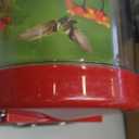 Perky-Pet 220 The Grand Master 48-Ounce Hummingbird Feeder