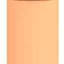 THERMOS FUNTAINER 16 Ounce Stainless Steel Vacuum Insulated Bottle with Wide Spout Lid, Orange