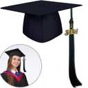 6 x 2024 Graduation Tassel with 2024 Gold Charm, Tassels Graduation, Graduation Gift, Tassel for Graduation Cap, Tassel Suitable for Graduation Hat, Black