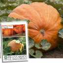 2 x Atlantic Giant Pumpkin Seeds for Planting, 15+ Heirloom Seeds Per Packet, (Isla's Garden Seeds), Non GMO Seeds, Botanical Name: Cucurbita Maxima, Great Home Garden Gift