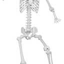 5.9ft/180cm Posable Halloween Skeleton, Life Size Skeleton Bones with Movable Joints for Halloween Graveyard Haunted House Spooky Scene Decor, 1pc