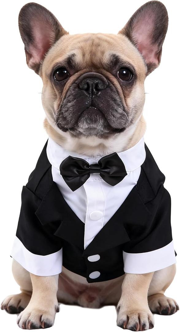 Black, White, Blue Dog Shirts for Wedding, Puppy Tuxedo, Dog Formal Wear, Doggie Tux, Suit and Tie Costume Black, Medium