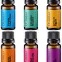 Scent of Adventure Essential Oils Set 6 Aromatherapy Diffuser Blends for Home Office Humidifier Car Fresheners Premium Grade Relaxation Scented Oil Diffuser Refill Essentials Pack Christmas Gift Set (10 Fl Oz (Pack of 6)