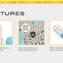 6 PCs Shoe Deodorizer & Hamper Deodorizer Pills |Moisture absorbers & odor eaters for shoes | Recharge & Spill-free Refresher Balls for Sneakers, Closets, Boxing Gloves, Cars and Gym bags