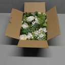 DearHouse 2Pack Artificial Peony Flower Garland - Silk Peony Garland with White Flowers for Wedding Party Table Decoration,6ft/Strand