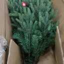 Christmas Decorations - 7.5 Ft Pre-Lit Twinkle Christmas Cypress Tree - Artificial Christmas Trees with 350 LED Lights - Xmas Holiday Decor for Indoor Home Party Living Room Office Decoration