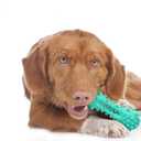 Toothbrush Dog Chew Toy, Stick Bone for Dog Teeth Cleaning, Tooth Brushing, Teething Chew Toys, Dental Oral Care for Small, Medium and Large Dogs(Blue)