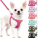 Lukovee No Pull Small Dog Harness and Leash Set - Adjustable Lightweight Soft Puppy Vest, Step-in Pet Harness with 49in Leash for Daily Walking Dogs (Fuchsia, XS)