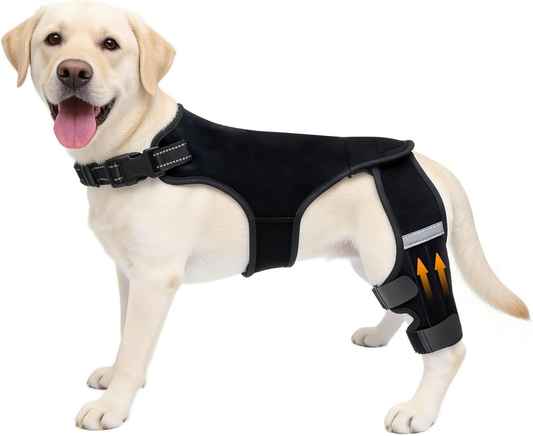ALYBIT Dog Knee Braces for Torn ACL Hind Leg, Adjustable Dog Leg Braces for Back Leg with 4 Stabilizers for Luxating Patella Relieves Ligament Injury and Joint Pain