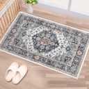 Machine Washable Rug 2x3 Vintage Design Boho Area Rugs for Living Room, Bedroom, Kitchen, Soft Non-Slip Foldable Large Indoor Carpet, Black Gray/Beige