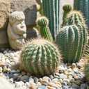 GreenVibe River Rocks, 5lbs Colorful Pebbles for Indoor Plants, 1-2 Inch Aquarium Rocks, Natural Stones for Landscaping Garden Paving Plant Rocks Crafting Walkways