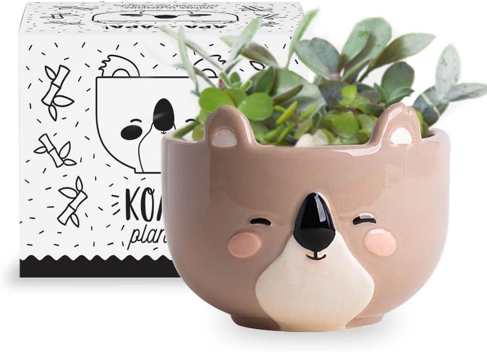 Koala Animal Ceramic Planter, 5 x 5 x 4 in., Exclusive Ceramic Animal Planters for Indoor and Outdoors, Cute Hand Painted Designed in Argentina, Convenient Drain Hole