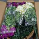 2 Set Artificial Outdoor Flowers with Hanging Baskets,24 Pcs UV Resistant Faux Petunias Flowers with Hanging Planter for Front Door Porch Spring Outside Decor (2, White,Yellow,Purple,RedViolet)