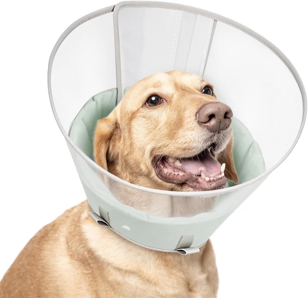 Dog Cone Collar with Snap-on Detachable Soft Liner, Lightweight Transparent Elizabethan Alternative to Stop Licking, for Spay Neuter Surgery Recovery, for Medium Large (Green,L)