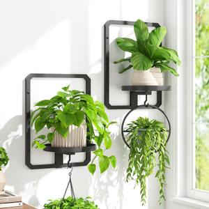 iDavosic.ly Wall Plant Picture Frame Holder Set of 2 for Indoor, Metal Stand with Hanging Hooks, Floating Flower Display Decor, Space Saving & Easy to Assemble (Pots/Chains/Plants Not Included) (Rectangular - 2 Pack, Black)