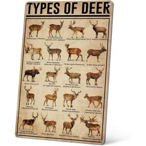 HYBLOM Rustic Types Of Deer Metal Sign, Vintage Farmhouse Wall Art Tin Sign - Hunting Decor & Educational Poster for Home, Man Cave, and Bar 8x12 Inches