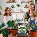 3 x Monstera Potting Soil 1qt - Premium Tropical Blend with Rapid Drainage for Growing and Repotting Monstera Deliciosa (Split-Leaf Philodendron) and Swiss Cheese Plants