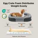 Bedsure Orthopedic Dog Bed Medium Size Dog - 360 Oval Bolster Medium Dogs Beds for Senior Dogs with Waterproof Washable Cover, Comfort Pet Sofa Couch with Ultra-Soft Fleece, Grey, 30"