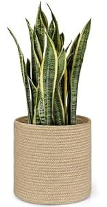 Dahey Jute Rope Plant Basket Modern Woven Storage Basket for 10.5" Indoor Planter, Decorative Flower Pots Cover Laundry Bin with Handle Rustic Home Decor, Beige
