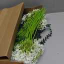 Retrowavy 250 Pcs Babys Breath Artificial Flowers Bulk Babys Breath Flowers Gypsophila Bouquets with Faux Eucalyptus Stems Leaves for Wedding Bouquet Party Filler Home Decor