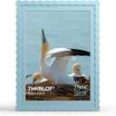 12x16 Picture Frame with Mat for 11x14, Wavy Edge Wooden Real Glass Photo Frame for Wall Hanging, Blue, 1 Pack