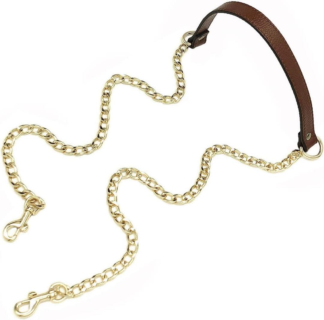 VanEnjoy 18MM Replacement Chain & Genuine Leather Shoulder Crossbody Straps for Handbags Purse Bags -Extended Version(Brownish Red)