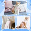 Cat Recovery Suit Female, Breathable Cat Onesie After Surgery Female for Abdominal Wounds or Skin Diseases, Surgery Recovery Suit Kitten Onesie After Spay Wear Anti Licking, Koala Small