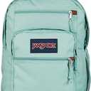 JanSport Cool Backpack with 15-inch Laptop Sleeve, Large Computer Bag Rucksack with 2 Compartments, Ergonomic Straps, Faded Sage, One Size