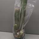Artificial Cactus Fake Big Cactus 24 Inch Faux Cacti Plants for Home Garden Office Store Decoration