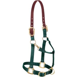 Weaver Equine Breakaway Horse Halter, Supple Leather Crown, Adjustable Brass Throat Snap Halters for Horses, Equine Tack (Hunter Green)