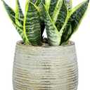 DILATATA Ceramic Pots with Drainage Hole 6.7 Inch Flower Plant Pot Indoor Round Planter Pot for Succulents, Cacti, Cactus, Snake Plants Home Decor - Gold