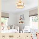 SYDACG 20" Caged Ceiling Fans with Lights, Gold Fandelier Ceiling Fan with Light, Boho Chandelier Fan Remote Control, 6 Speeds for Bedroom, Nursery, Living Room