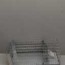 Qualirey 1 Pcs Humane Squirrel Trap Heavy Duty Live Animal Chipmunk Catch and Release Rat Trap for Outdoor Small Animals Mouse Raccoon Stray Cat Rodent Weasels (Black)