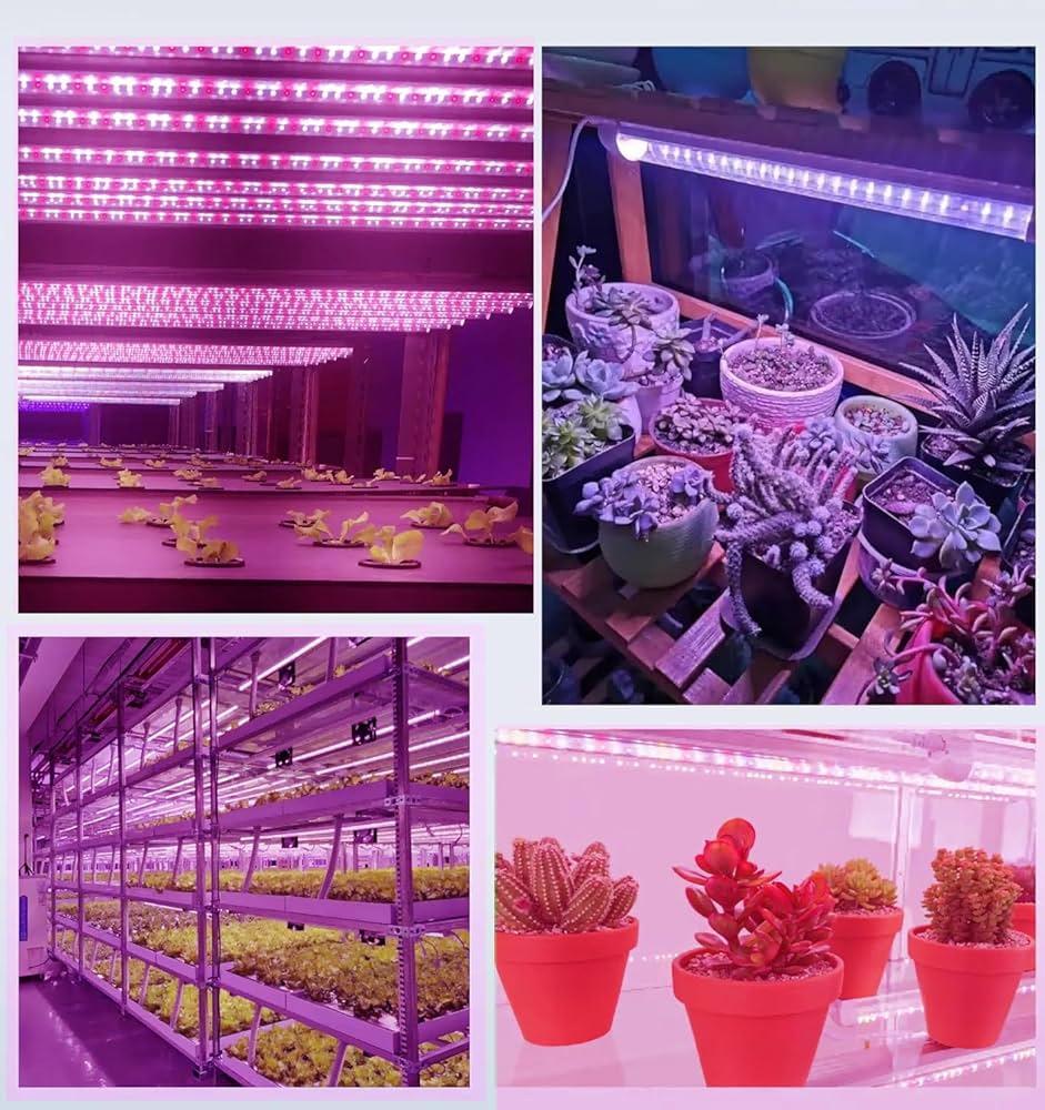 Green Watt Led 2Ft Grow Light 40Wt Red & Blue