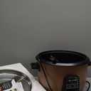 Wantjoin Rice cooker Stainless Rice Cooker & Warmer Commercial Rice cooker for party and family(10L capacity for 4.2L rice,42CUPS) Brown