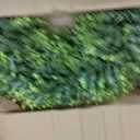 20 Inch Boxwood Front Door Wreaths, Spring and Summer Outdoor Wreath for Front Door, All Seasons Artificial Green Wreath for Farmhouse Wedding Porch Wall All Seasons Indoor Decorations