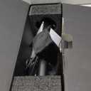 CZUR Halo X Pro Dual Webcam for PC, 1080P Web Camera with Microphone, USB Camera for Computer, 90° View, Plug & Play, Compatible with Windows&Mac, for TikTok/YouTube/Yahoo Messenger