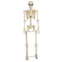 Crazy Bonez Pose-N-Stay Metal Stand for 60 Inch (5 Ft.) Tall Skeletons