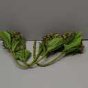 HUFFA Artificial Flower Hydrangea Fruit Decoration Ornaments Flower Art Home Flower Arrangement Photography Props(Green)