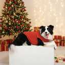 Chol&Vivi Dog Clothes, 2Pcs Soft Cotton T-Shirts For Medium, Extra Large Dogs (Red, M (18" Chest))